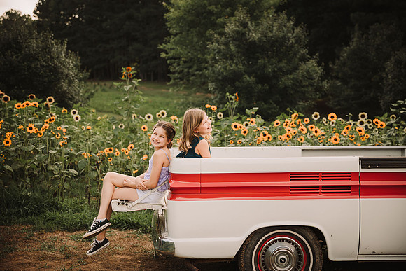 sisters laughing together in the back of truck in front a a field of sunflowers