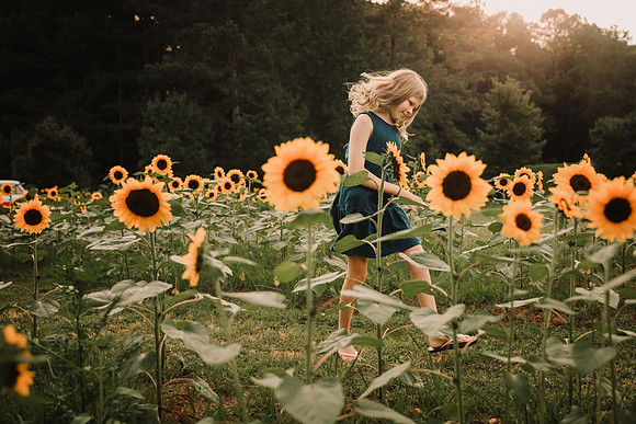 girl skipping through a sunflower field during a photo session