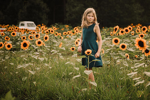 little girl looking back at the camera in a sunflower field by monica carlson