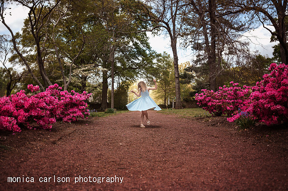 young girl twirling in a blue dress among azaleas on the Barrington Hall property taken by Monica carlson Photography
