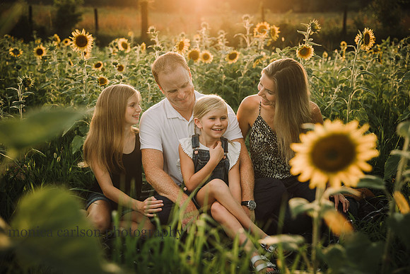 family of five sit in a sunflower field on Prospect farms