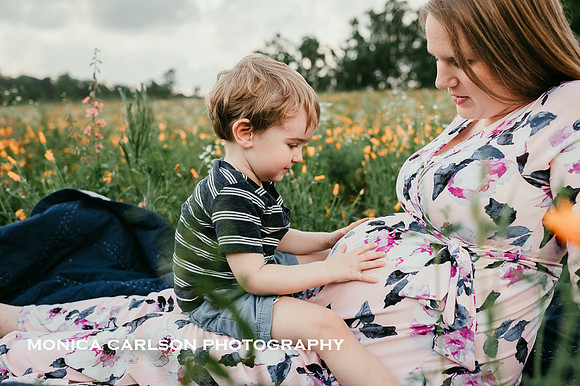 toddler boy rubs his mothers belly while they sit in a field of flowers by monica carlson
