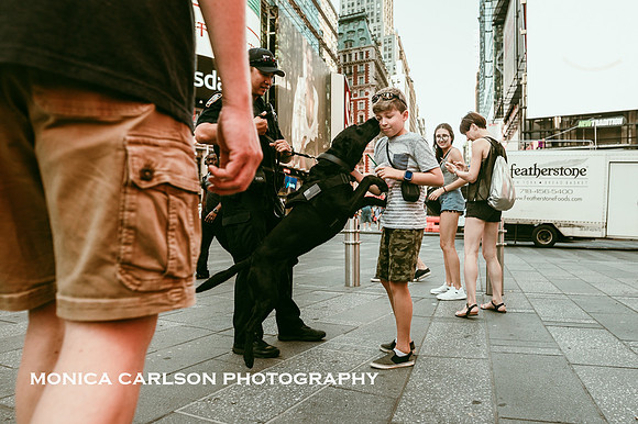 police dog jumps up and kisses boy while in Times square by monica carlson