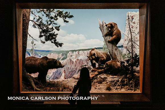 girl looking at the bear display at the natural history museum