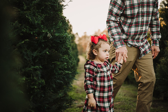 toddler in a Christmas dress walks hand in hand with her father at Bottoms Tree Farm