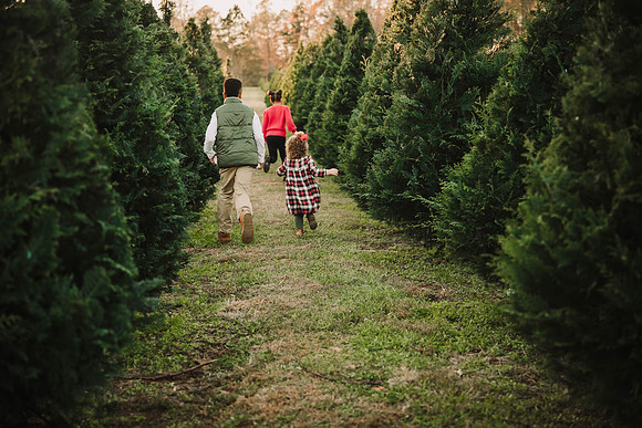 hunt family by monica carlson photography