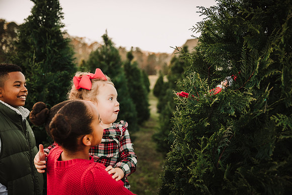 little girl looks with glee at a elf that is sitting in a christmas tree