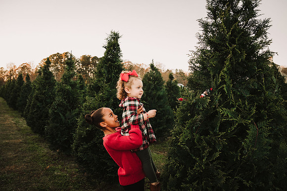 tween sister picks up toddler so she can better see a elf that is in a christmas tree