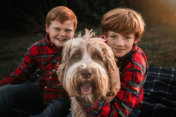 two red headed boys with their dog