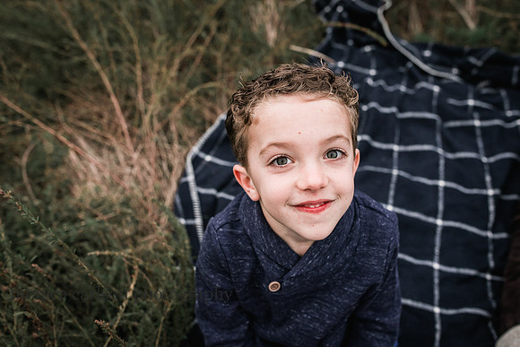 desmond family 2018 by monica carlson photography