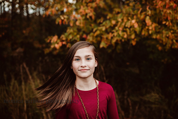 anderson family 2018 by monica carlson photography