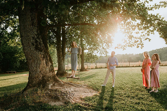 dad pushing a girl on a swing during a family photo session