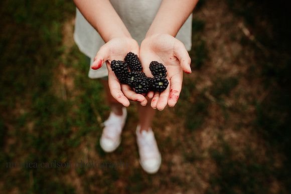 juice stained fingers of a child who has been picking berries
