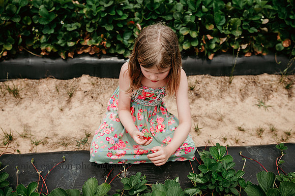 girl squatting by some strawberry bushes