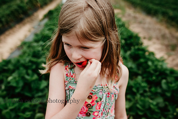 girl taste testing freshly picked strawberries on a farm outside atlanta, GA