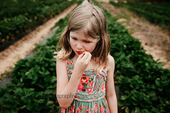 girl eating a strawberry she just picked at a farm