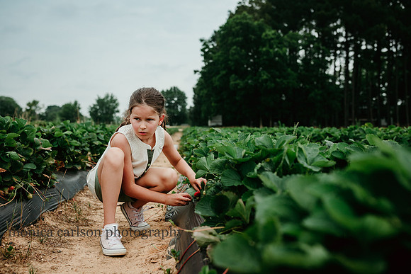 girl picking strawberries for a bush