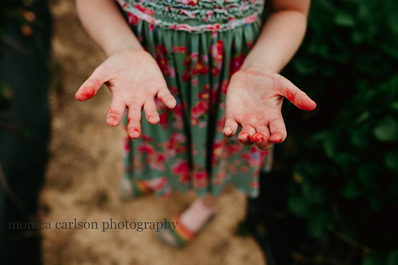 strawberry stained hands of a child
