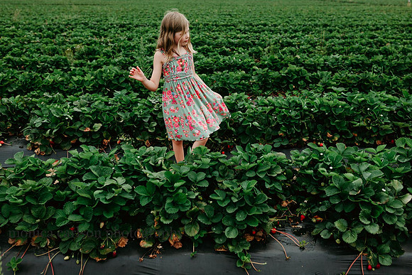 girl walking down rows of strawberries by monica carlson photography