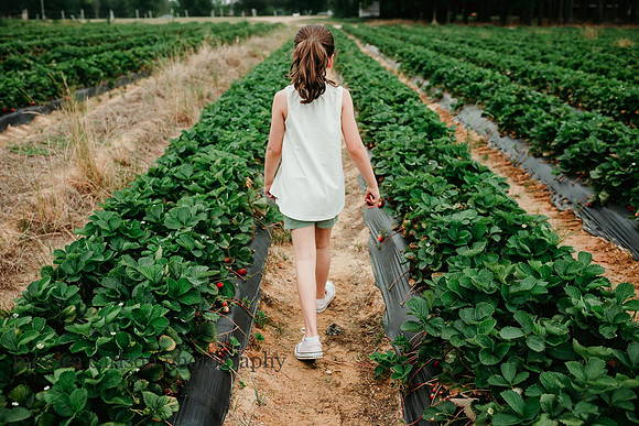 tween girl making her way down rows of strawberry bushes