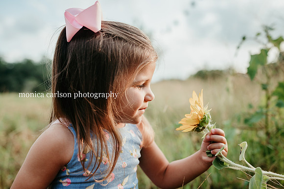 three year old girl looking closely at a sunflower