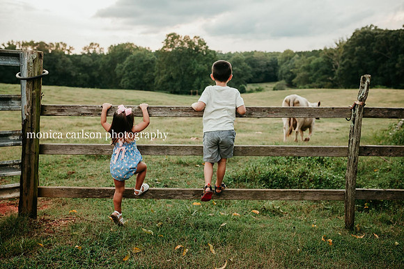 two young siblings standing on a wooden fence watching cows in the distance at milford family farm