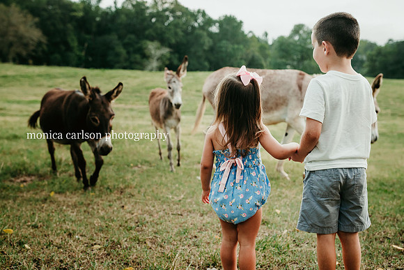 brother and sister holding hands as they watch a group of donkeys