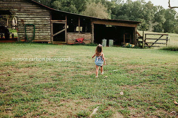 little girl walking towards a barn at milford family farm