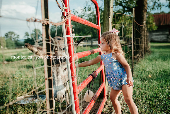 three year old girl petting a donkey through a fence at a farm