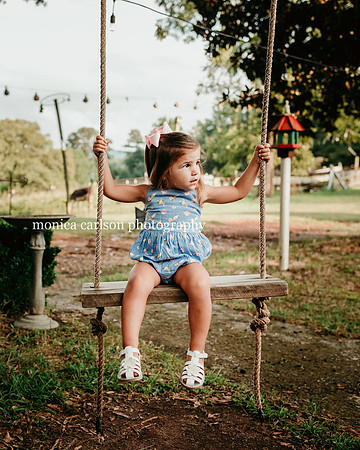 young girl sitting on a wooden tree swing during a photo session