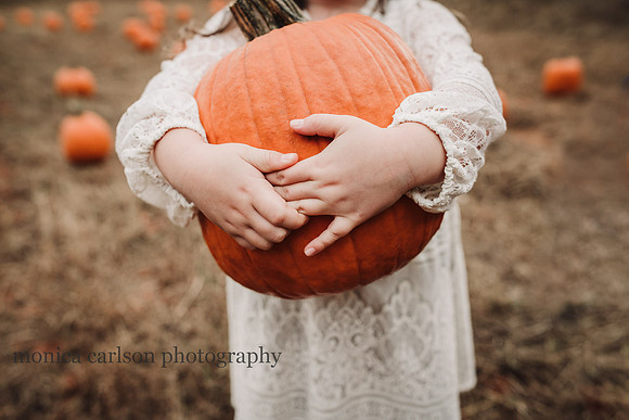 stezzi family by monica carlson photography
