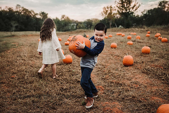 stezzi family by monica carlson photography