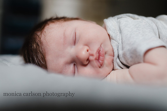 portrait of a squishy newborn baby boy by monica carlson photography