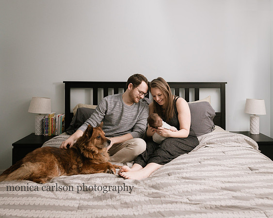 portrait of a new family of three and a dog on a bed by monica carlson photography