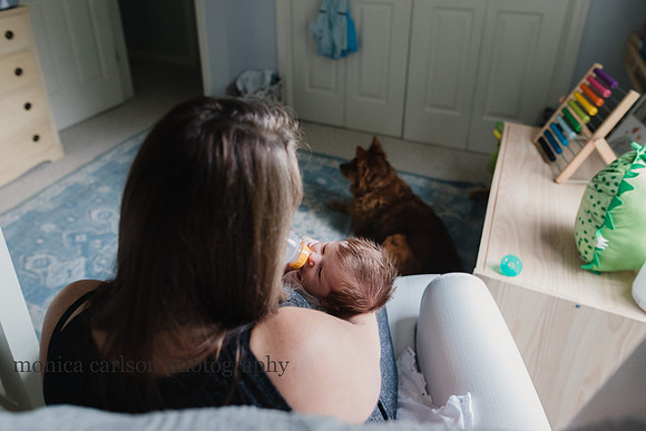 mother feeding her newborn with her dog by her feet by monica carlson