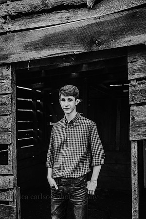hauck family by monica carlson photography