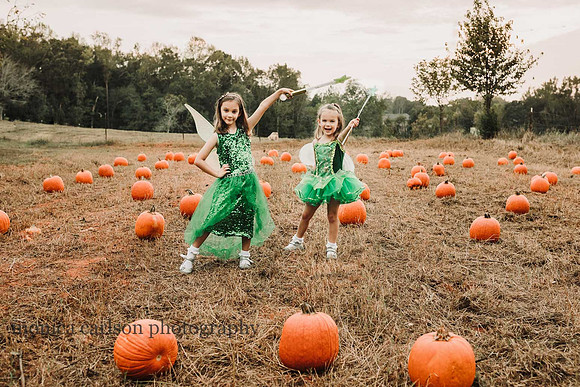 pettersen family 2019 by monica carlson photography