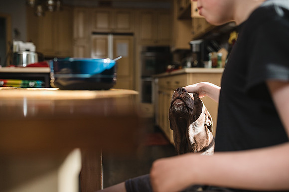 boy petting his dog while sitting at the table for breakfast