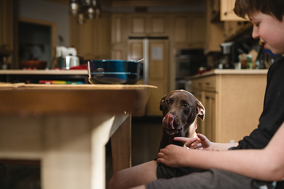 dog licking its chops while a boy eat breakfast