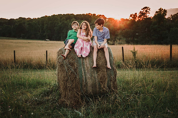last night by monica carlson posted on the Click Pro Daily Proje
