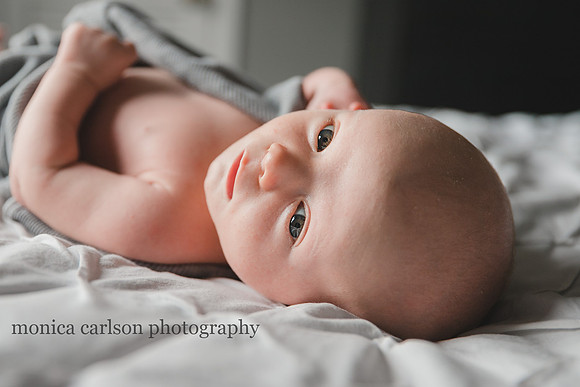 newborn portrait by monica carlson photography