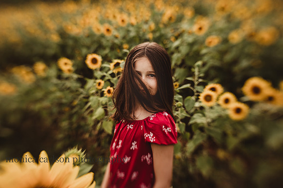 a knowing stare from a young girl on a sunflower field