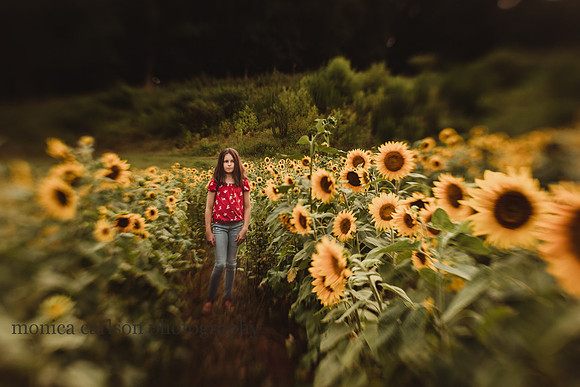 girl walking through a sunflower field