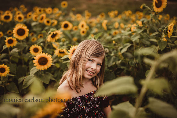 blonde girl among sunflowers at milford family farm