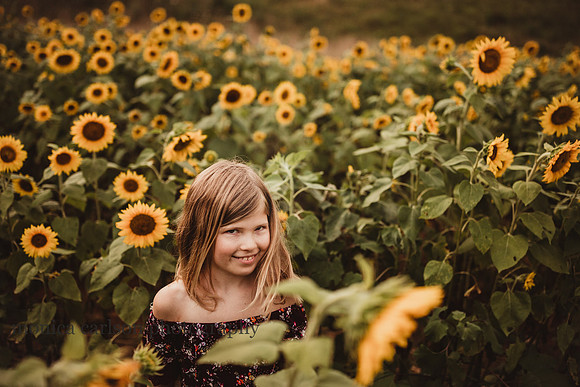 8 year old girl smiles on a sunflower field by monica carlson