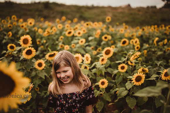 sunflower field with a laughing young girl by monica carlson