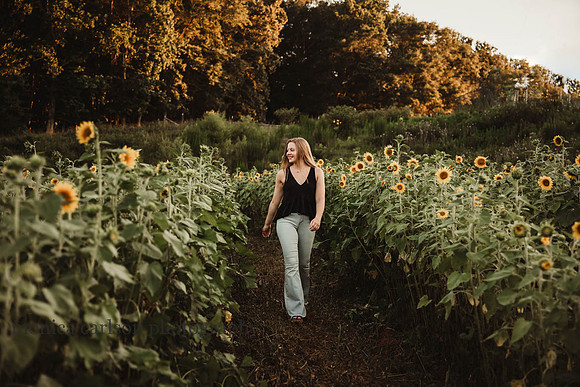 senior girl walking through a sunflower field at milford family farm