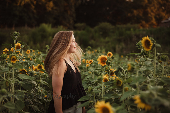 beautiful image of a young woman on a sunflower field