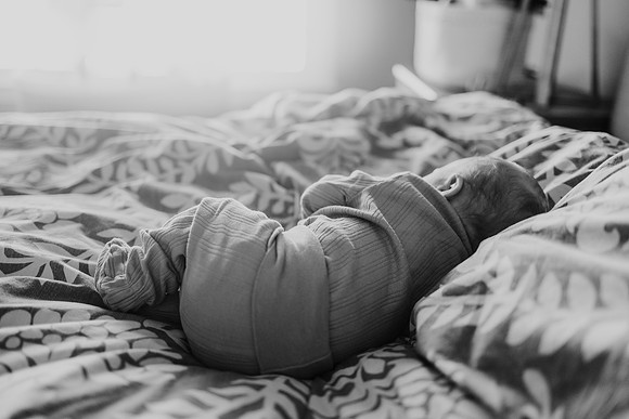 mcCoy family 2023 monica carlson photography