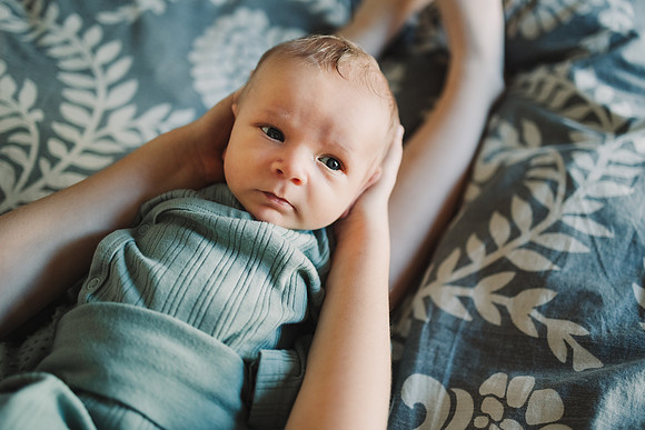 mcCoy family 2023 monica carlson photography